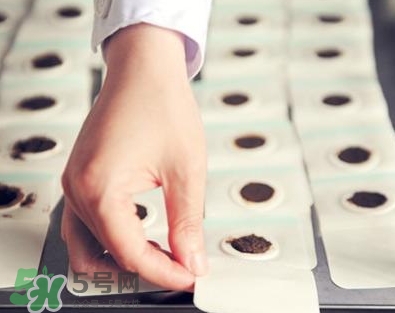 贴三伏贴可以吃鱼吗?,贴三九贴能吃鱼吗? 贴三伏贴可以吃鱼吗?,贴三九贴能吃鱼吗?