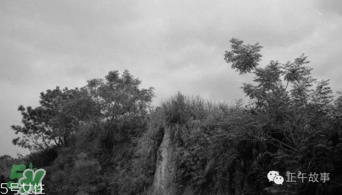 用正午写一句话,正午的意思是什么