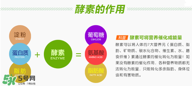 喝酵素拉肚子正常吗?,喝酵素拉肚子怎么回事