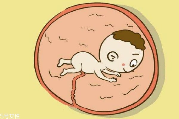 胎动能分辨出男孩女孩吗,从胎动怎么能判断男孩女孩?