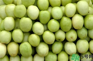 冬枣清洗方法,冬枣如何清洗干净 冬枣清洗方法,冬枣如何清洗干净