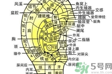 经常揉耳朵有什么好处?,每天揉搓耳朵有什么好处