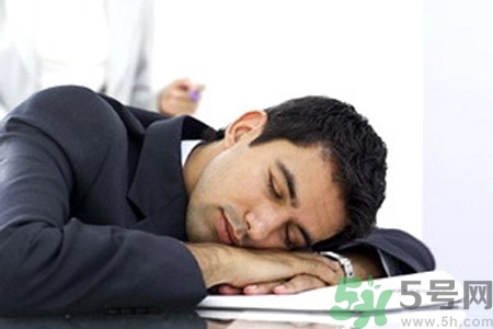 吃完午饭睡觉会胖吗?,吃完午饭就睡觉会胖吗 吃完午饭睡觉会胖吗?,吃完午饭就睡觉会胖吗