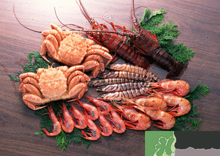 多吃海鲜胸会变大吗,女性海鲜吃多乳房会变大吗