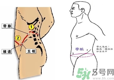 人体带脉不通的危害,带脉不通的原因