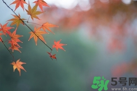 换季容易引起的疾病,换季就生病