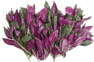 观音菜孕妇能吃吗,通菜孕妇可以吃吗