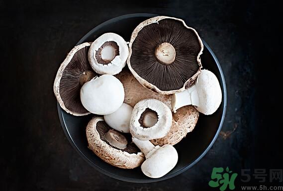 菇类都有什么菇,蘑菇有哪几种