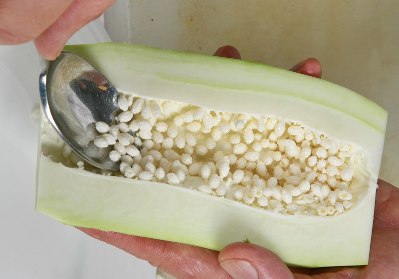 木瓜痒怎么办,青木瓜功效