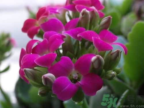 长寿的表现几个特征,寿命长的人有什么特征