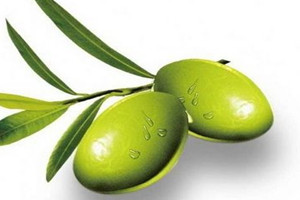 青榄孕妇可以吃吗,青橄榄孕妇可以生吃吗