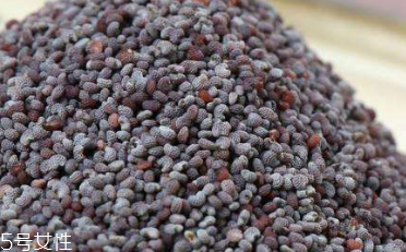 面包的定义是什么,面包的定义及其分类 面包的定义是什么,面包的定义及其分类