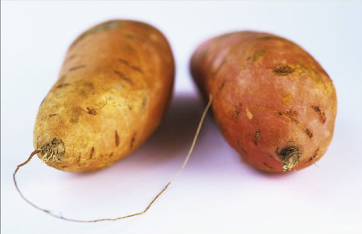 怎样吃红薯减肥效果最好,怎么样吃红薯能减肥