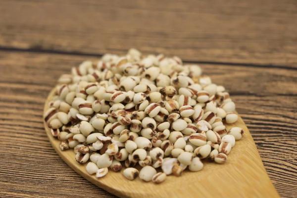 薏米可以减肥吃吗,薏米减肥能吃吗