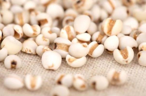 薏米对胃有伤害吗,薏米对胃有影响吗