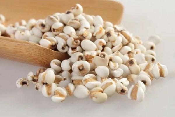 薏米要提前泡水吗,薏米需要提前泡吗