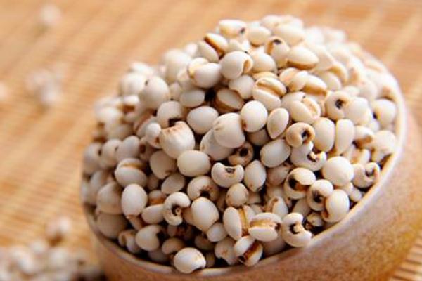 薏米和什么一起煮去湿气最好,薏米加什么去湿气最好