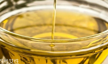 茶油的特点,油茶的特点是什么