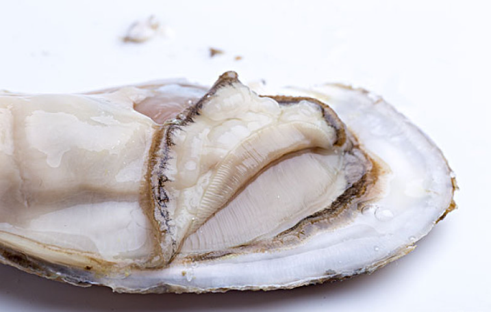生蚝吃着很腥是不是不新鲜,生蚝有腥味正常吗 生蚝吃着很腥是不是不新鲜,生蚝有腥味正常吗