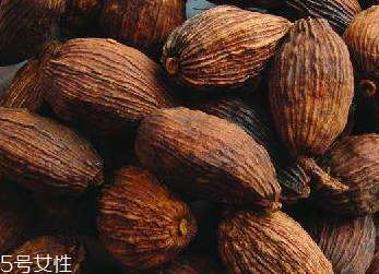 草果在哪里能买到,草果去哪里买