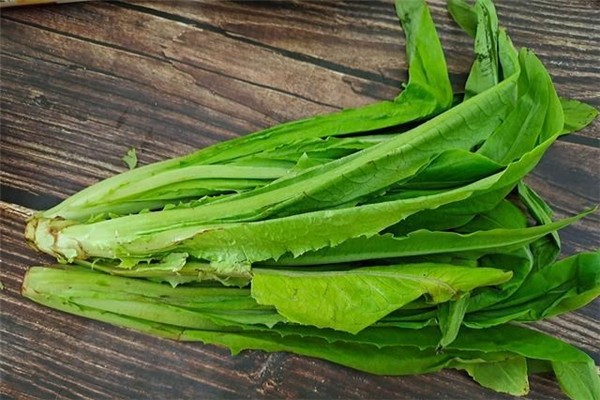 蒜蓉油麦菜孕妇可以吃吗,油麦菜孕妇可以吃吗? 蒜蓉油麦菜孕妇可以吃吗,油麦菜孕妇可以吃吗?