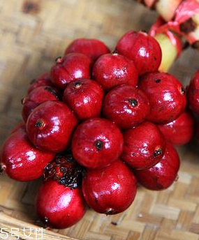 草果的好处,草果有什么功效