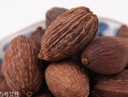 八角的功效和作用,八角的功效和作用禁忌