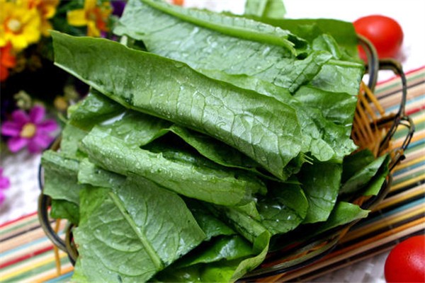 油麦菜有农药残留吗?,油麦菜农药残留多吗 油麦菜有农药残留吗?,油麦菜农药残留多吗