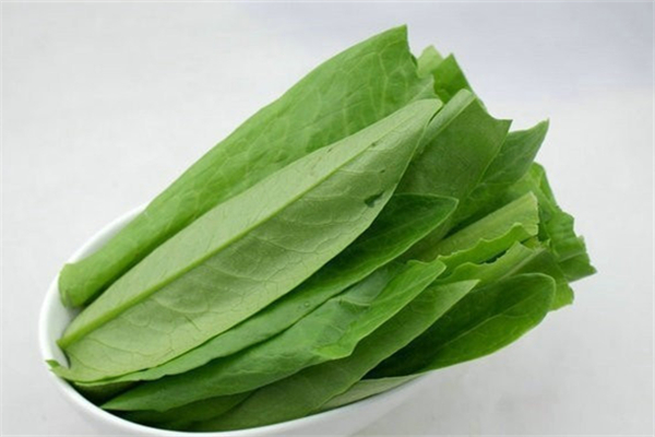 油麦菜生吃好吗,油麦菜生吃行吗