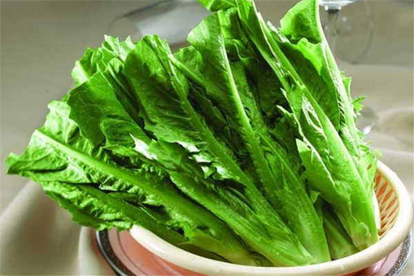 油麦菜图片,油麦菜的功效和作用禁忌