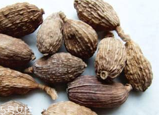 草果的药用价值和功效,草果的药用价值