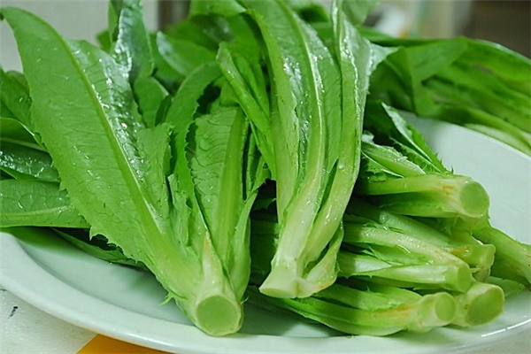 油麦菜发苦是怎么回事?,油麦菜是苦的怎么回事