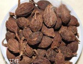 草果的功效和作用,草果的功效和作用禁忌