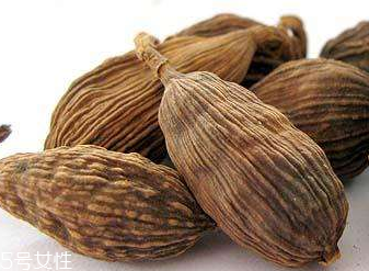 草果长什么样子图片大全,草果长什么样