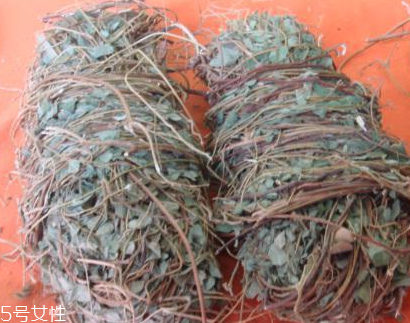 鸡骨草的副作用是什么,鸡骨草的副作用及禁忌