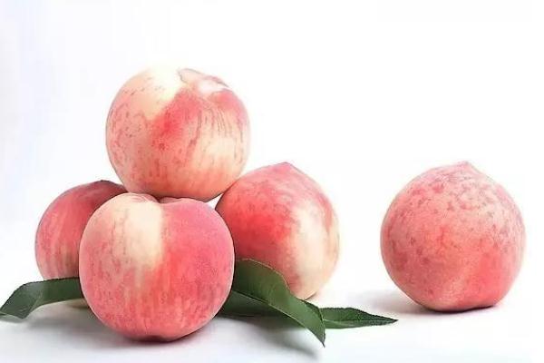 吃猕猴桃有什么好处和功效,樱桃的作用和功效