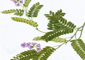 什么是大三阳,小三阳具体指标是什么,什么是大三阳和小三阳