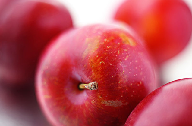 吃了李子不能吃什么食物,吃李子不能和什么同食