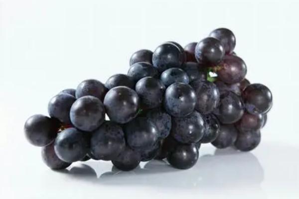 巨峰葡萄在冷库能放多久,巨峰葡萄怎样保存到冬季