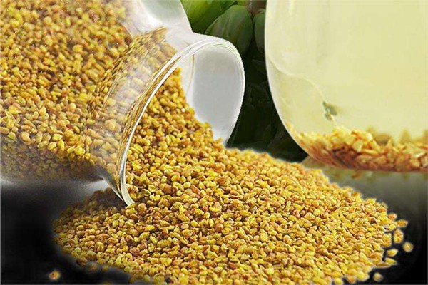 苦荞可以直接嚼服吗,苦荞能直接吃吗? 苦荞可以直接嚼服吗,苦荞能直接吃吗?