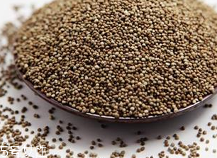 紫苏子怎么泡水喝,紫苏可以泡茶喝吗