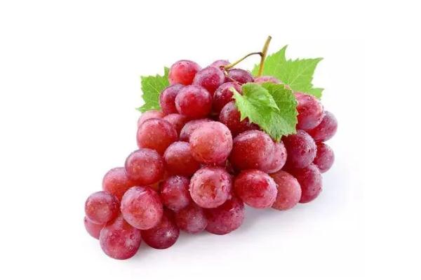 无籽红提子上火吗,红提子上火吗