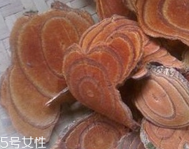 鸡血藤的生长环境,鸡血藤的生长环境条件