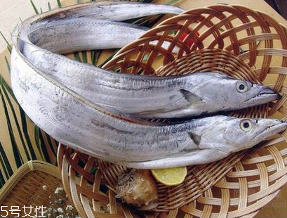 如何选带鱼,带鱼什么样的好