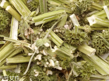 益母草的药用价值和功效,益母草有几种,哪种效果好