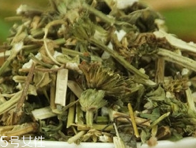 益母草有几种,哪种效果好,益母草有什么作用和功效