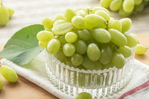 青提的营养价值和功效,香印青提的营养价值