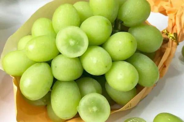 青提孕妇能吃吗,孕早期能吃青提吗 青提孕妇能吃吗,孕早期能吃青提吗