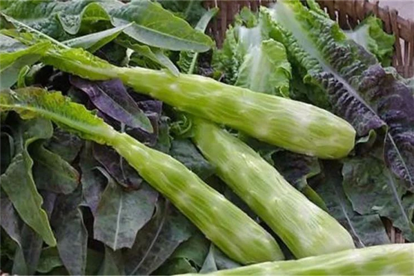 莴笋有什么营养和功效,莴笋的营养价值和功效有哪些