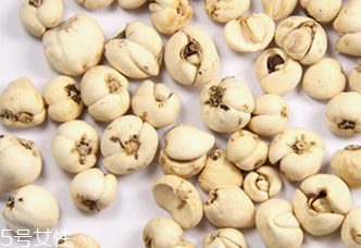 川贝甲鱼汤的功效,甲鱼怎么做法 川贝甲鱼汤的功效,甲鱼怎么做法